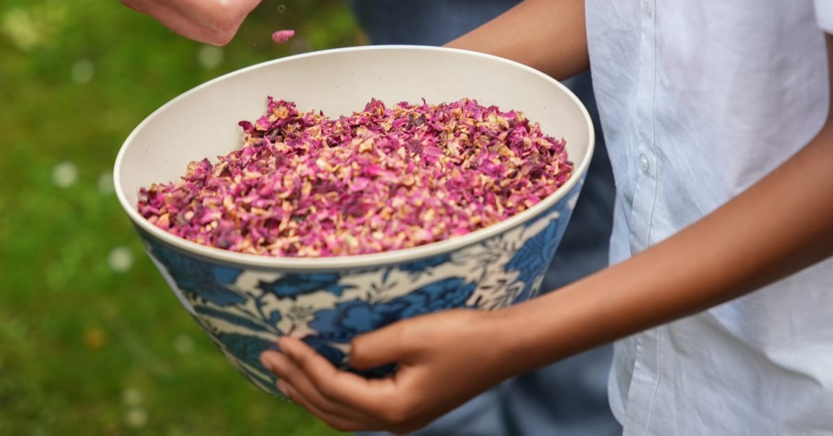 Biodegradable confetti
