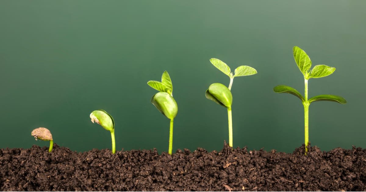 The evolution of Product Management: Is it in Crisis?